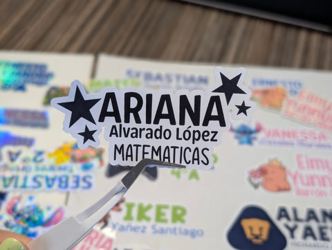 Etiquetas Escolares para Libros y Cuadernos (24 pzas)