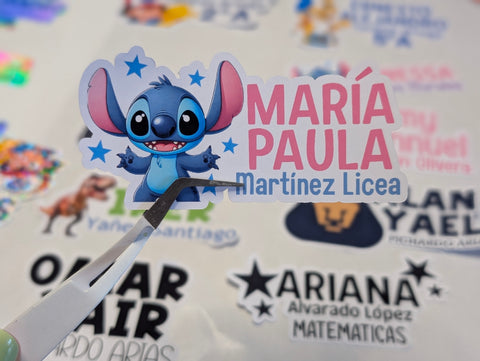 Etiquetas Escolares para Libros y Cuadernos (24 pzas)